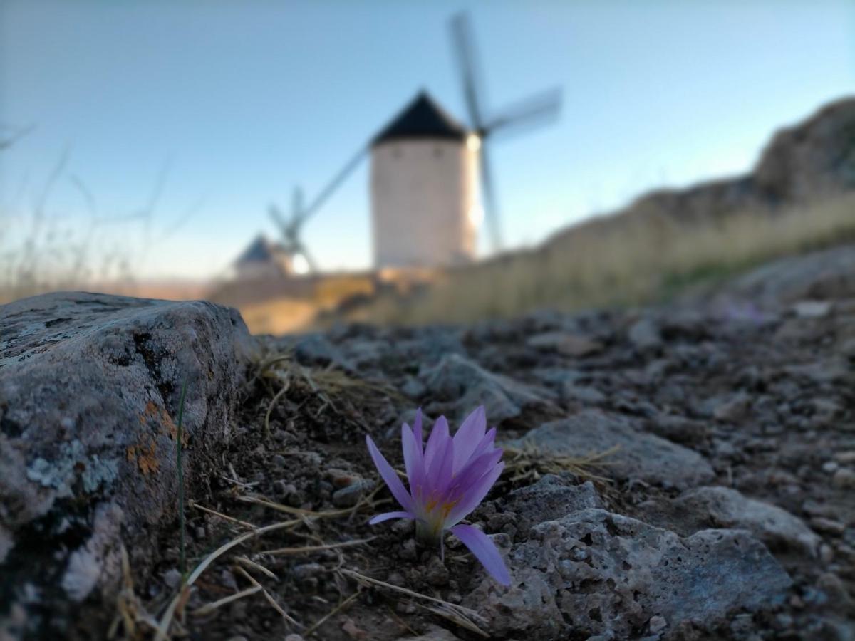 Azafran Consuegra Guest House Eksteriør bilde